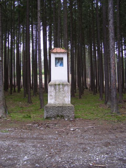 U modrého obrázku v Zádušním lese